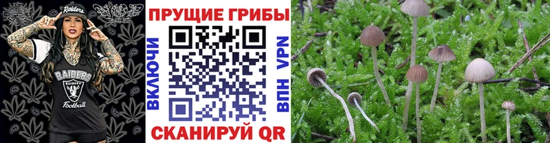 Псилоцибиновые грибы GOLDEN TEACHER  Купить закладки  Калязин 